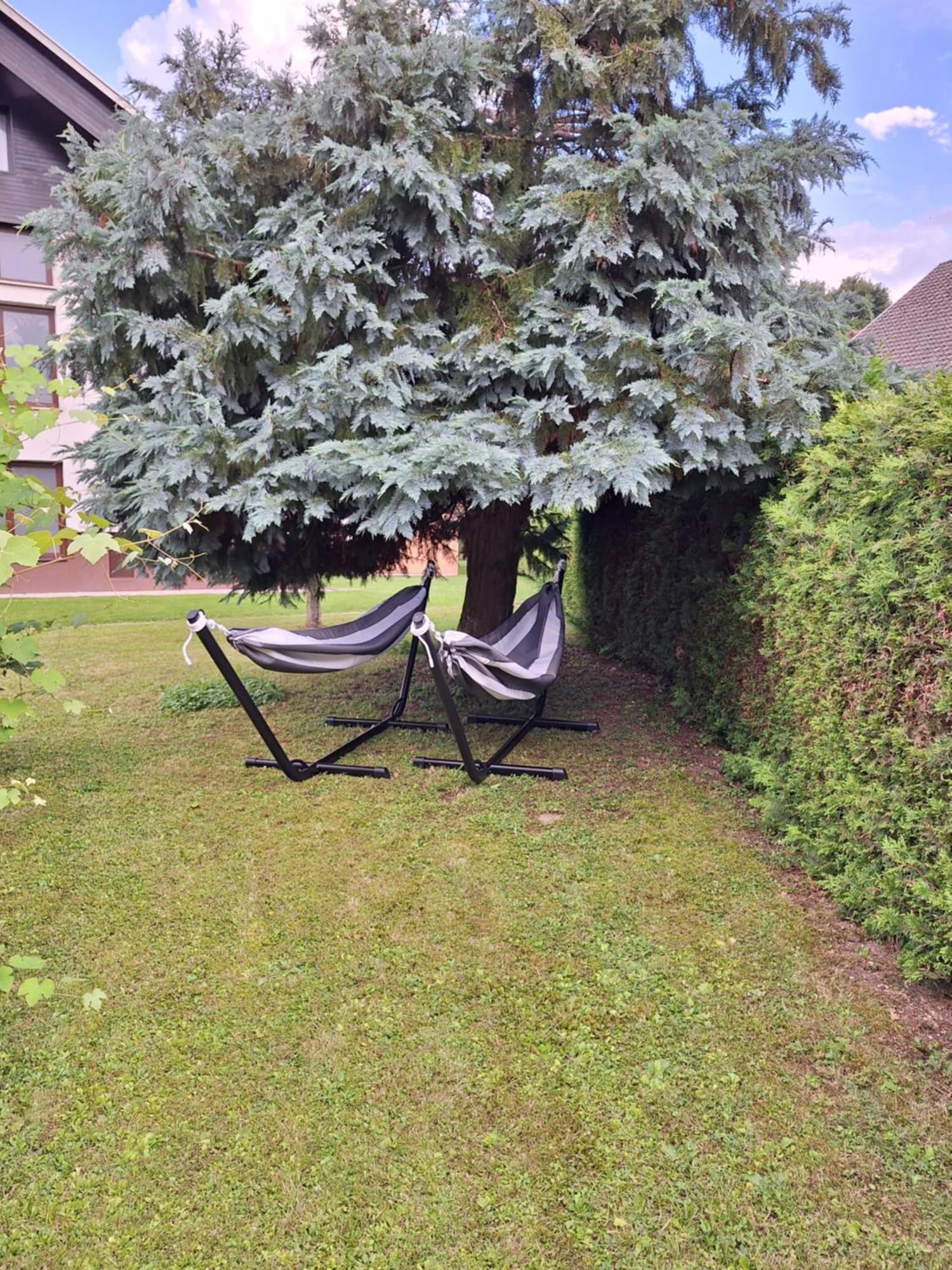 Apartment Petek Блед Экстерьер фото